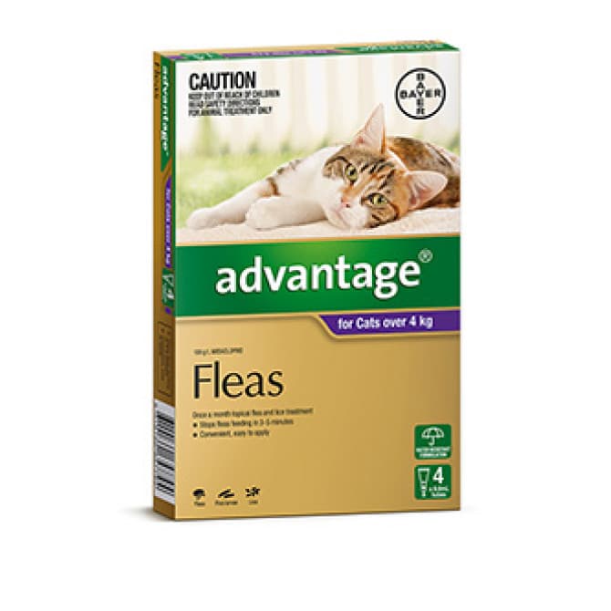 Buy Advantage Cat 4kg Plus 4 Pack Online